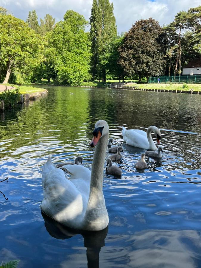 Beddington Park Lodge East Wallington Bagian luar foto