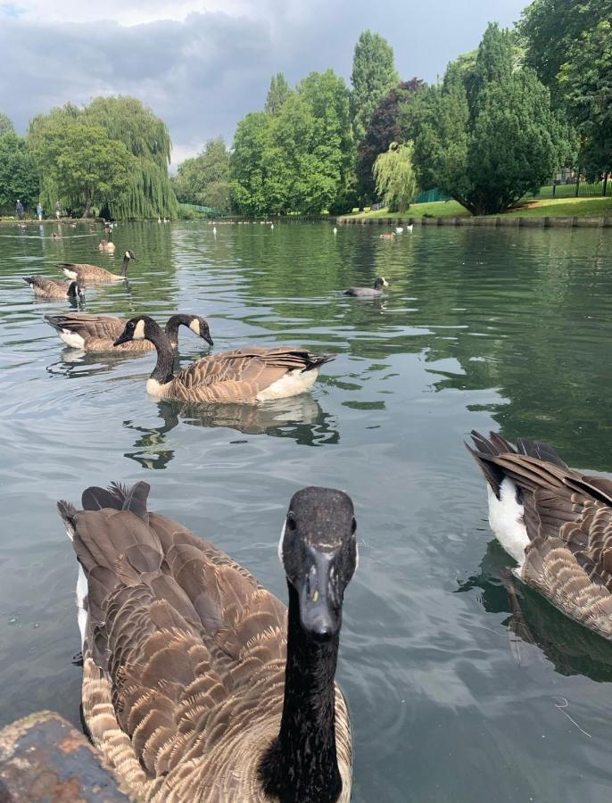 Beddington Park Lodge East Wallington Bagian luar foto