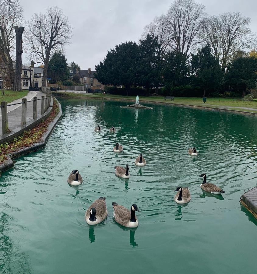 Beddington Park Lodge East Wallington Bagian luar foto