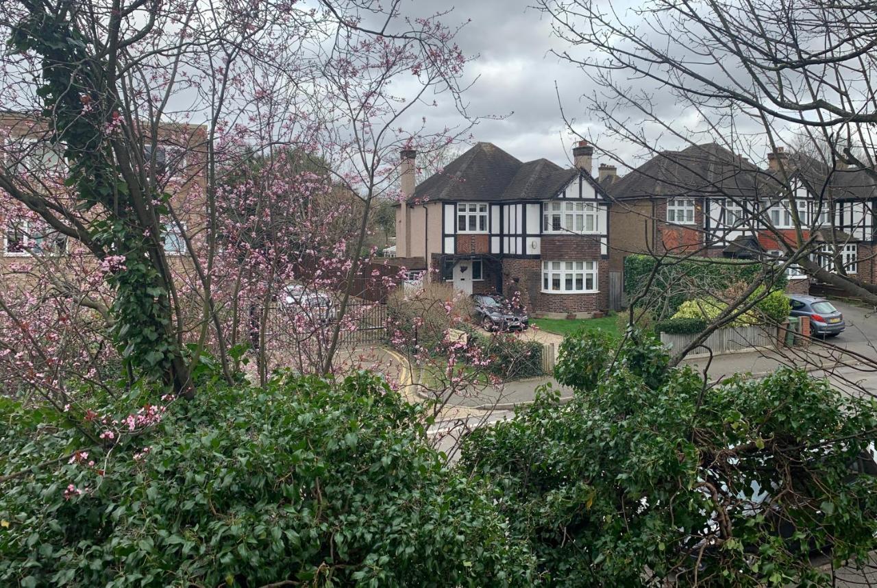 Beddington Park Lodge East Wallington Bagian luar foto